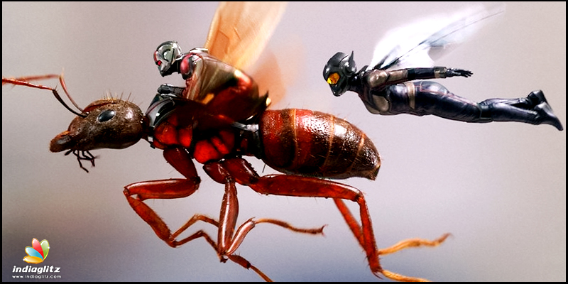 Ant-Man and the Wasp review. Ant-Man and the Wasp Hollywood movie review,  story, rating 